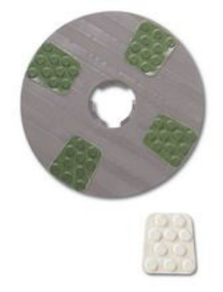 1281