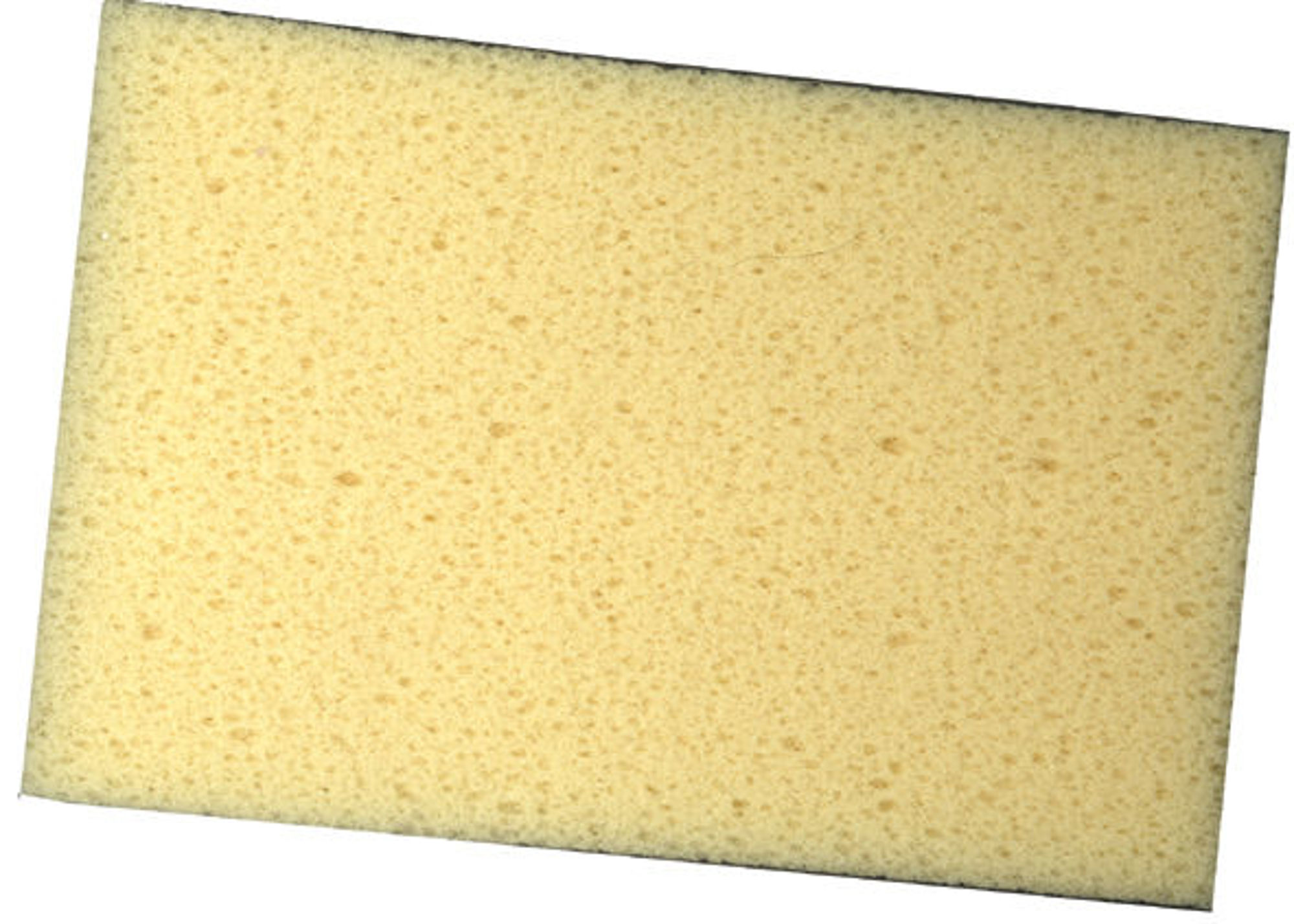 Bilde av SVAMP ENKEL PROFF 16X11X6,5CM, ROKKA