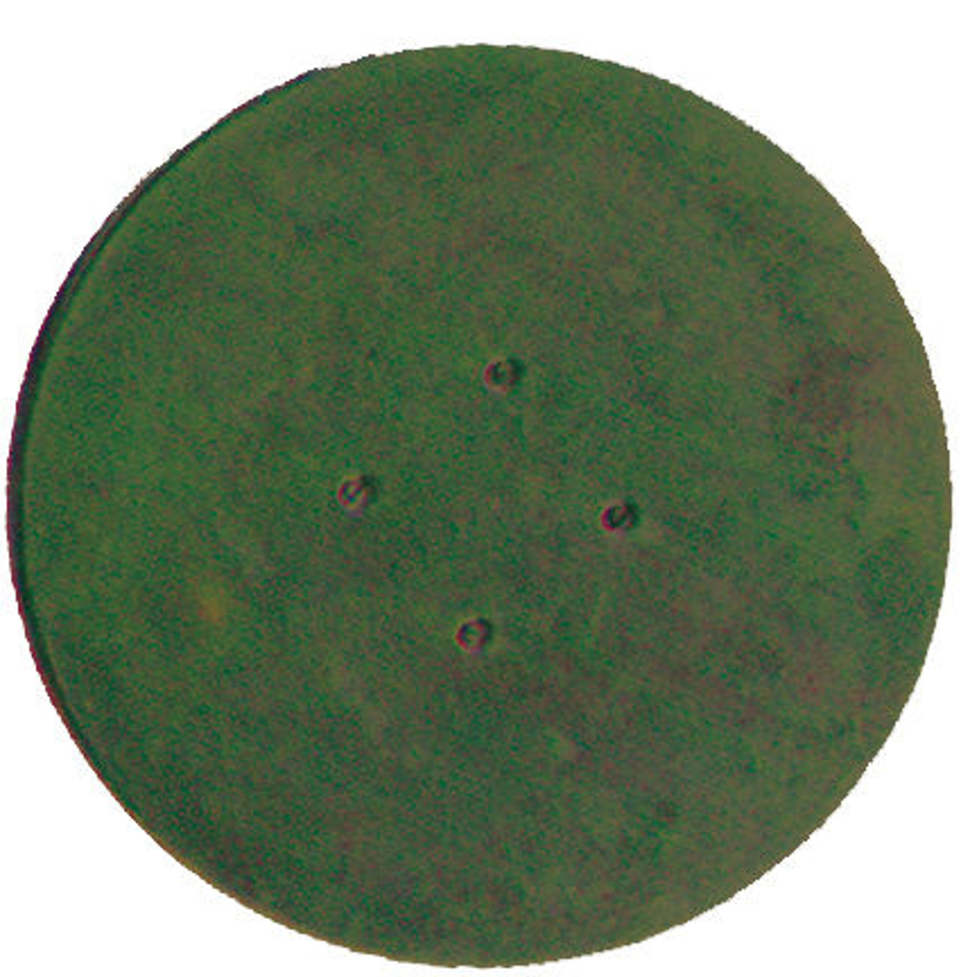 Bilde av PAD GRONN 18 GROV 457MM