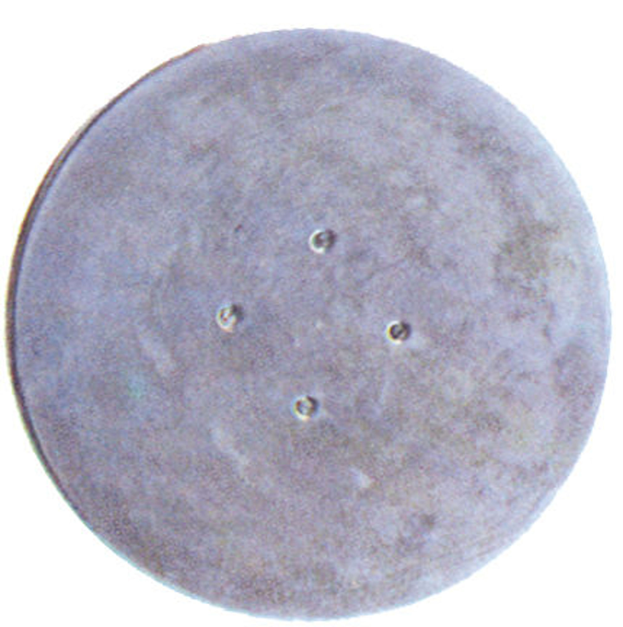 Bilde av PAD HVIT 18 FIN 457MM